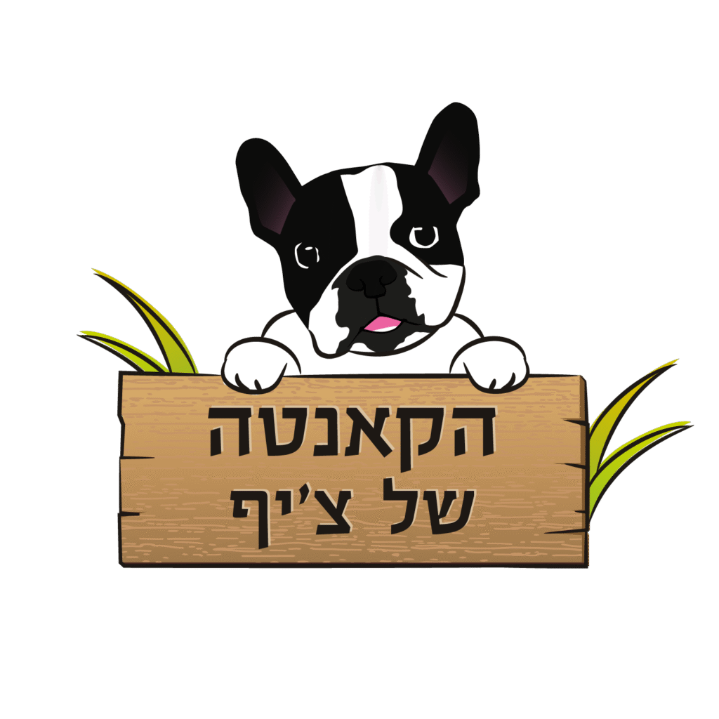 הקאנטה של ציף פנסיון כלבים